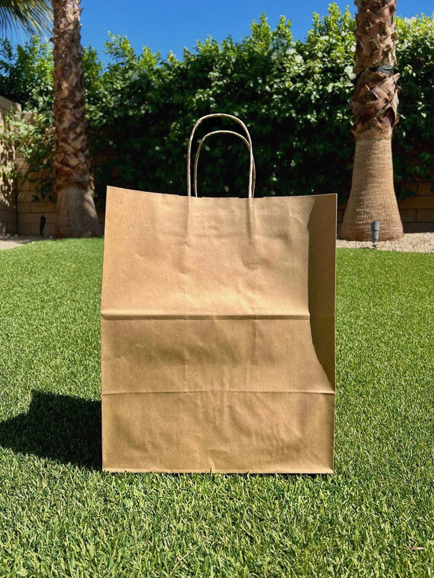 Paper Bag with 9" Gusset - 250pcs